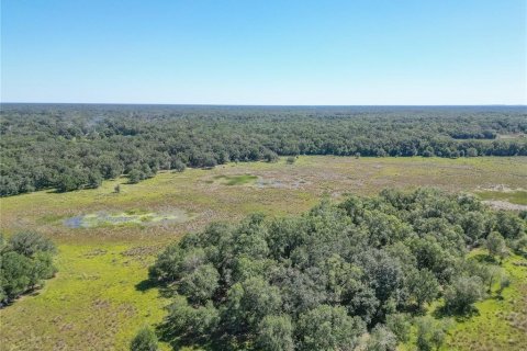 Land in Webster, Florida № 2144913 - photo 26