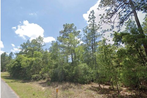 Terreno en Dunnellon, Florida № 2206265
