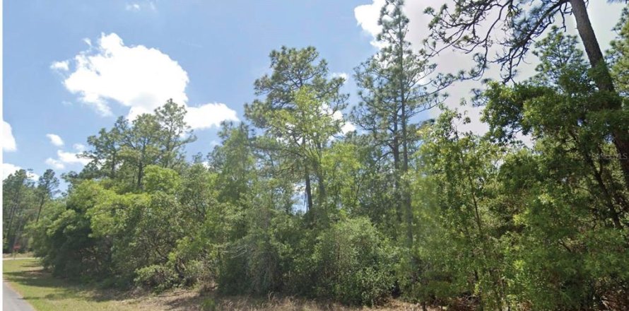 Terrain à Dunnellon, Floride № 2206265