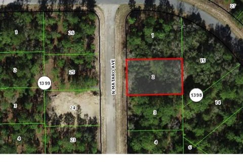 Land in Citrus Springs, Florida № 2212910