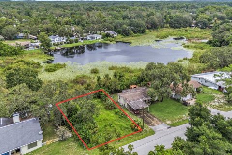 Land in New Port Richey, Florida № 2160399