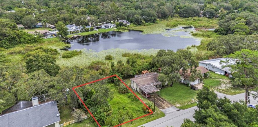 Land in New Port Richey, Florida № 2160399