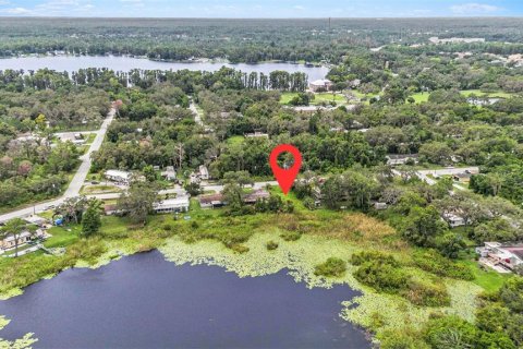 Land in New Port Richey, Florida № 2160399 - photo 9