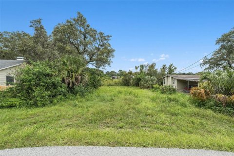 Land in New Port Richey, Florida № 2160399 - photo 7