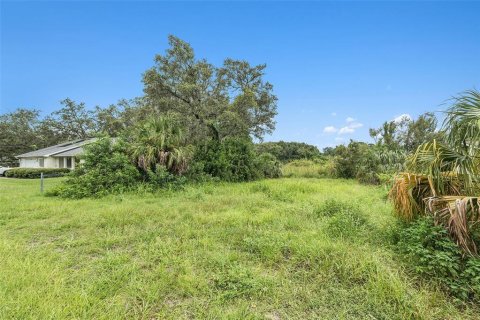 Land in New Port Richey, Florida № 2160399 - photo 8