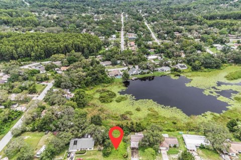 Land in New Port Richey, Florida № 2160399 - photo 2