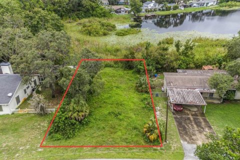 Land in New Port Richey, Florida № 2160399 - photo 6