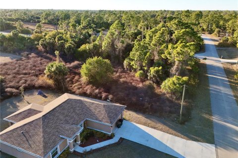 Land in North Port, Florida № 2160963 - photo 3