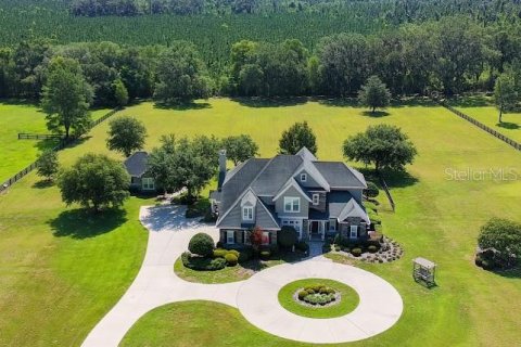 House in Alachua, Florida 6 bedrooms, 486.34 sq.m. № 2139147 - photo 4