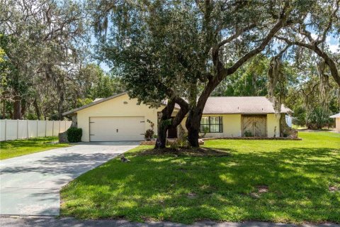 Villa ou maison à vendre à Inverness, Floride: 4 chambres, 199.93 m2 № 1791270 - photo 2