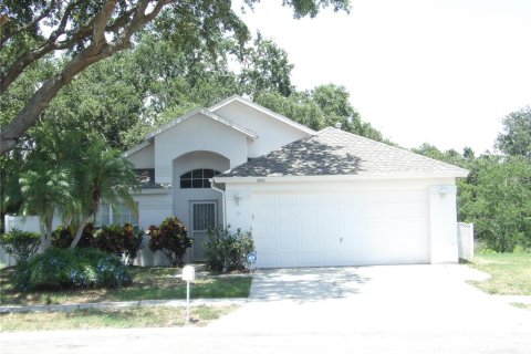 Casa en alquiler en Brandon, Florida, 4 dormitorios, 154.87 m2 № 1795856 - foto 1