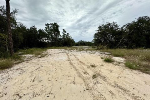 Land in Kissimmee, Florida № 1754480 - photo 4