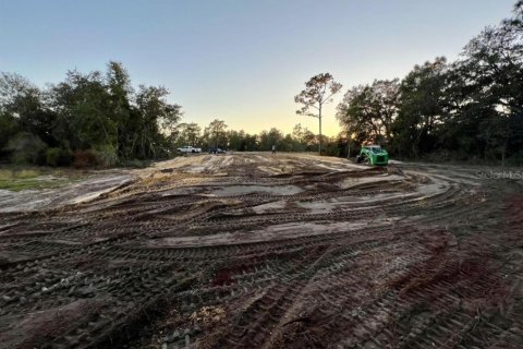 Land in Kissimmee, Florida № 1754480 - photo 3