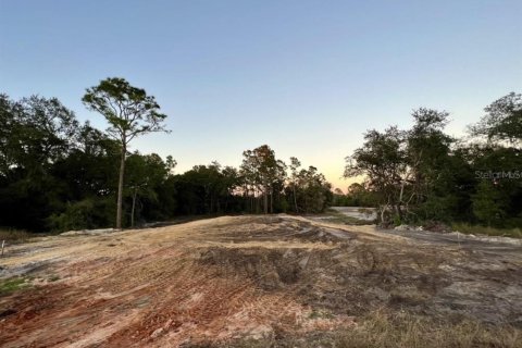 Land in Kissimmee, Florida № 1754480 - photo 9