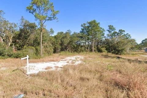 Land in Kissimmee, Florida № 1754480 - photo 11
