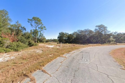 Land in Kissimmee, Florida № 1754480 - photo 10