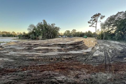 Land in Kissimmee, Florida № 1754480 - photo 2