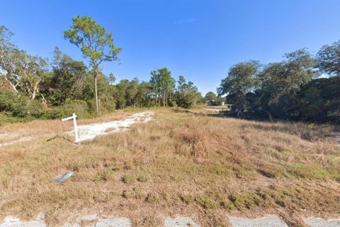 Land in Kissimmee, Florida № 1754480 - photo 1