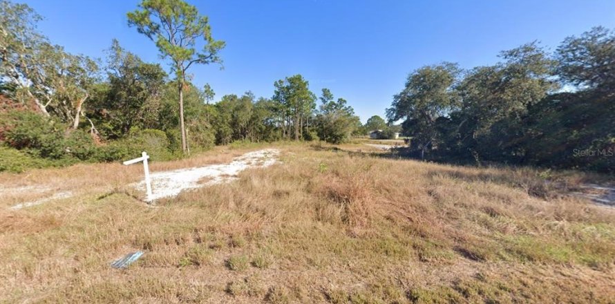 Land in Kissimmee, Florida № 1754480