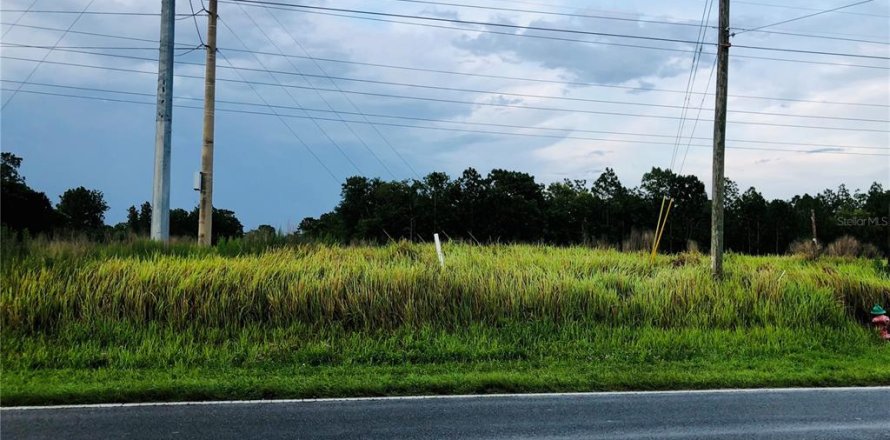 Terrain à Ocala, Floride № 213985