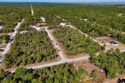 Land in Lehigh Acres, Florida № 2158650 - photo 3