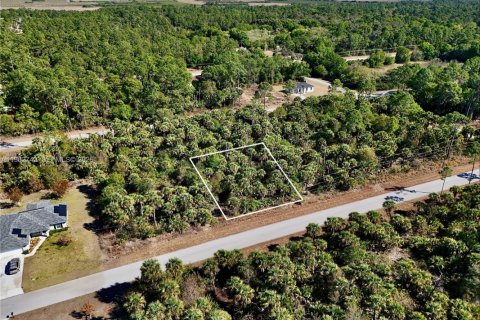 Land in Lehigh Acres, Florida № 2158650 - photo 2