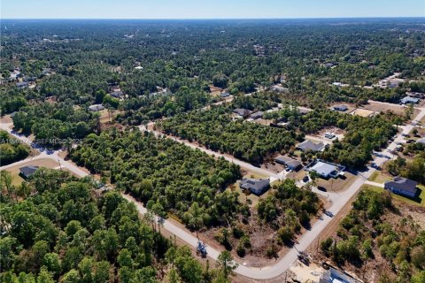 Land in Lehigh Acres, Florida № 2158650 - photo 5
