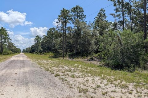 Terreno en venta en Indian lake estates, Florida № 2161216 - foto 6