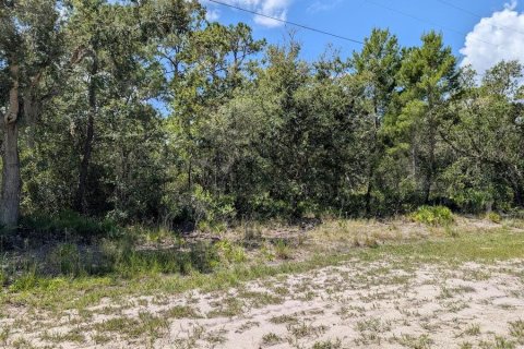 Terreno en venta en Indian lake estates, Florida № 2161216 - foto 7