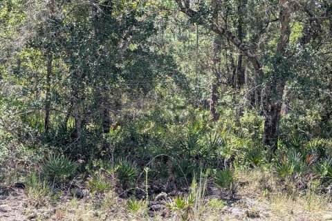 Terreno en venta en Indian lake estates, Florida № 2161216 - foto 5