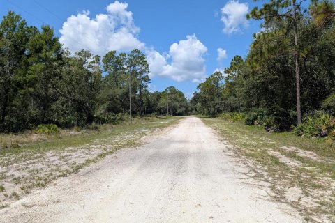 Terreno en venta en Indian lake estates, Florida № 2161216 - foto 3