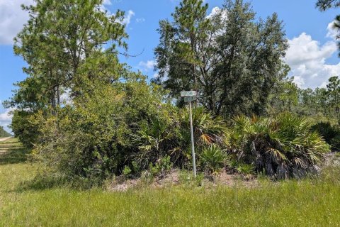 Land in Indian lake estates, Florida № 2161216