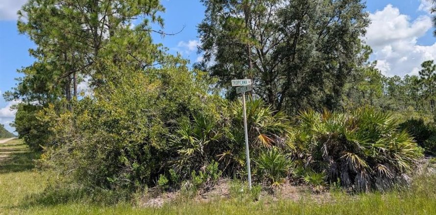 Terreno en Indian lake estates, Florida № 2161216