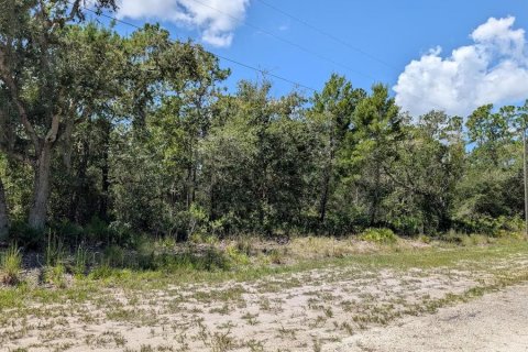 Terreno en venta en Indian lake estates, Florida № 2161216 - foto 2