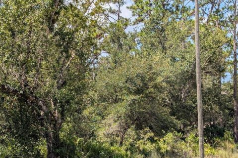 Terreno en venta en Indian lake estates, Florida № 2161216 - foto 4