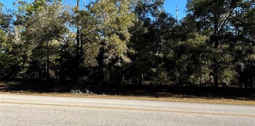 Terrain à Dunnellon, Floride № 1553813