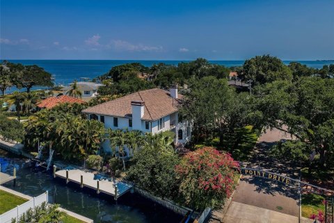 Villa ou maison à vendre à Saint Petersburg, Floride: 4 chambres, 387.31 m2 № 1797801 - photo 2