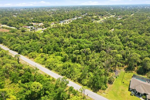 Terreno en venta en Port Charlotte, Florida № 2159481 - foto 9