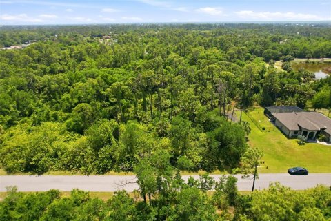Terreno en venta en Port Charlotte, Florida № 2159481 - foto 3