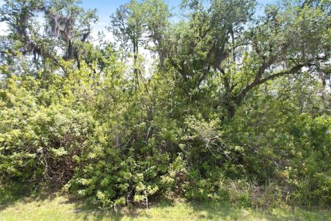 Land in Port Charlotte, Florida № 2159481