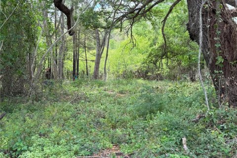 Land in Dade City, Florida № 2232669 - photo 5
