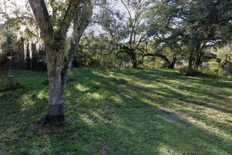 Land in Dade City, Florida № 2232669 - photo 6