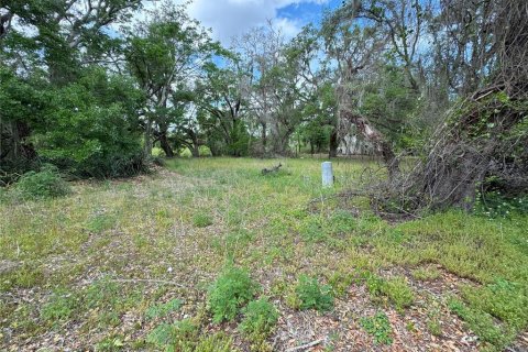 Land in Dade City, Florida № 2232669 - photo 3
