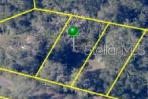 Land in Dade City, Florida № 2232669 - photo 10