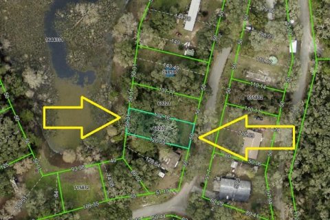Land in Dade City, Florida № 2232669 - photo 4