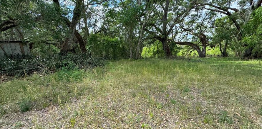 Land in Dade City, Florida № 2232669