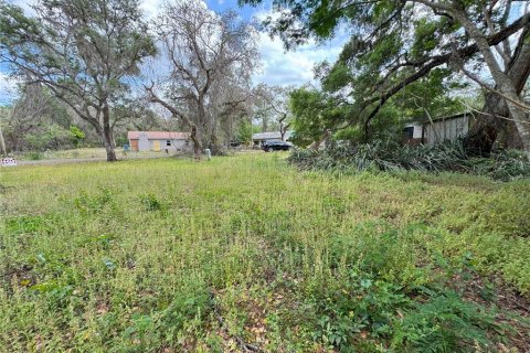 Land in Dade City, Florida № 2232669 - photo 2