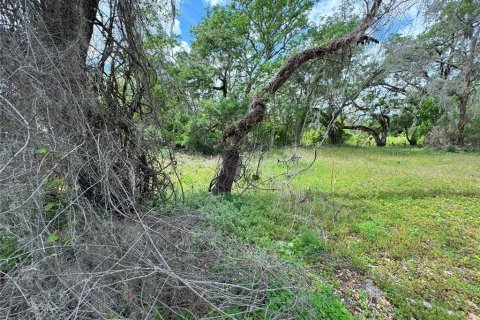 Land in Dade City, Florida № 2232669 - photo 7