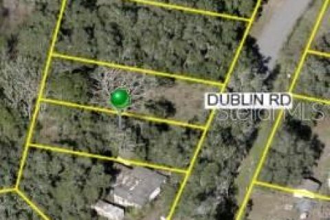 Land in Dade City, Florida № 2232669 - photo 9