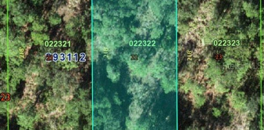 Land in Indian lake estates, Florida № 2207757